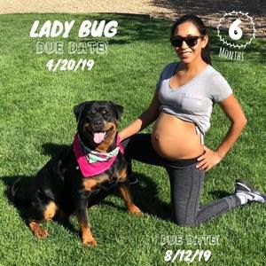 Meet your Posher, Kouanin